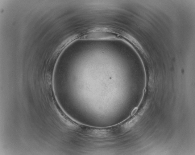 X0000062930849200601131509