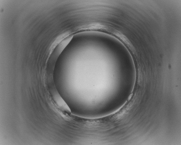 X0000062930850200601131509