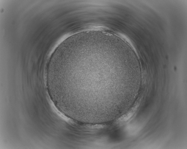 X0000062930851200601131509