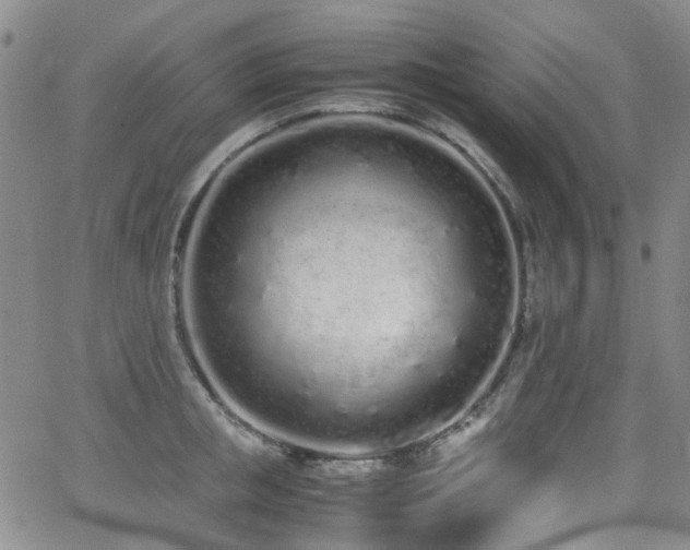 X0000062930853200601131509