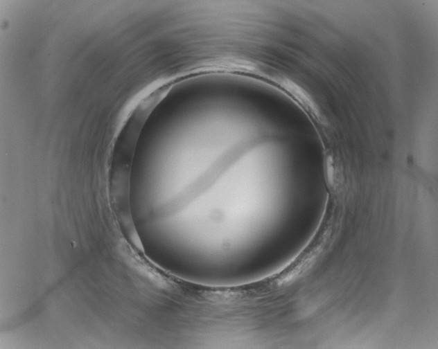 X0000062930854200601131509