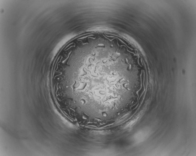 X0000062930855200601131509