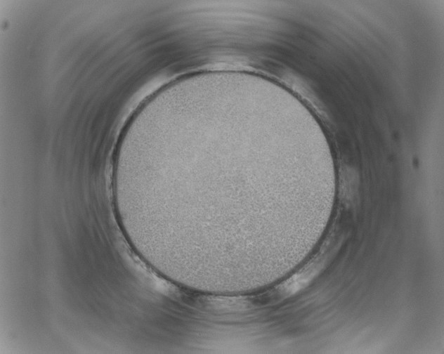 X0000062930856200601131509