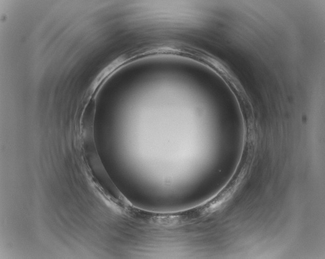 X0000062930858200601131509