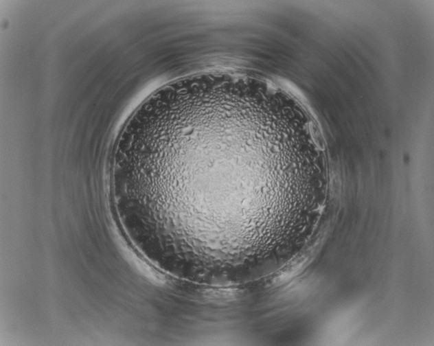 X0000062930859200601131509