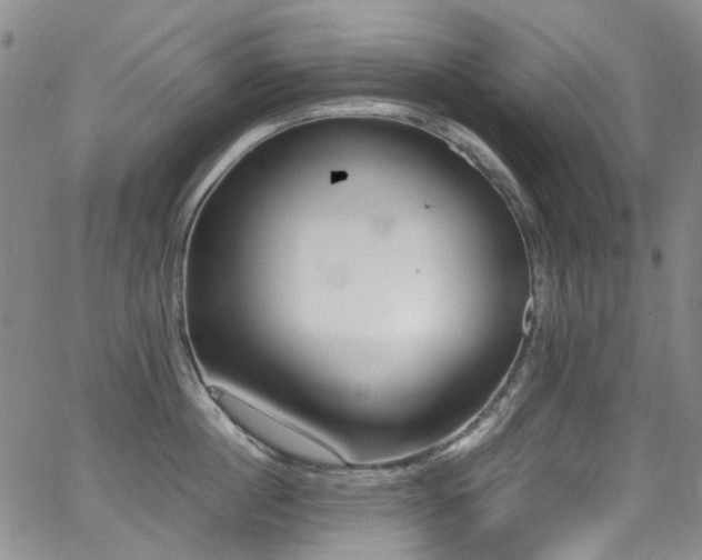 X0000062930860200601131509