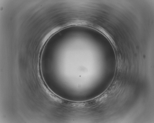 X0000062930861200601131509