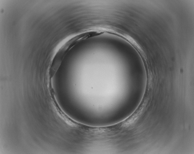 X0000062930862200601131509