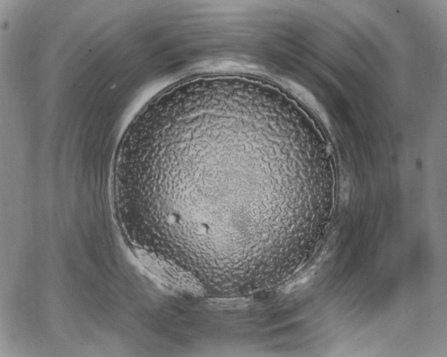 X0000062930863200601131509