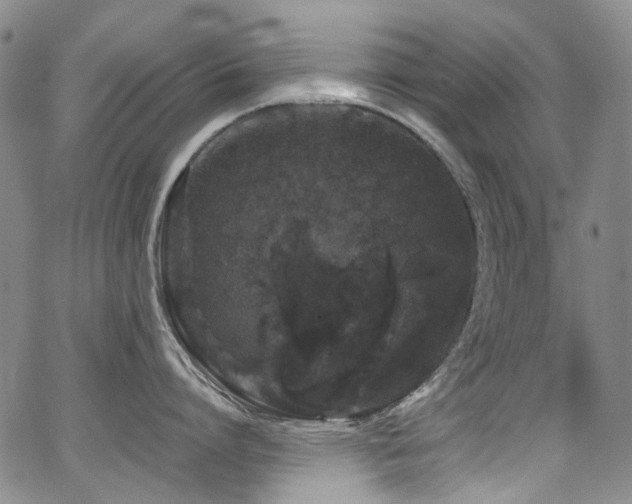 X0000062930864200601131509