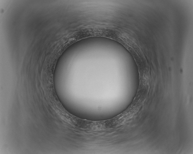 X0000062930865200601131509