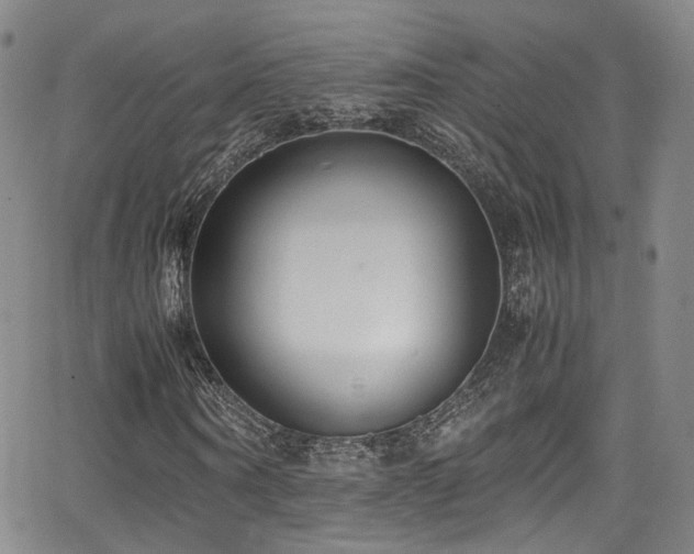 X0000062930866200601131509