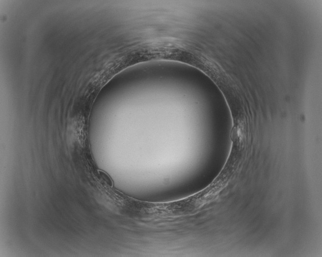 X0000062930867200601131509