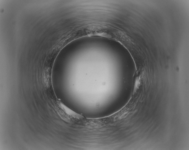 X0000062930868200601131509