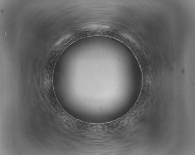 X0000062930869200601131509