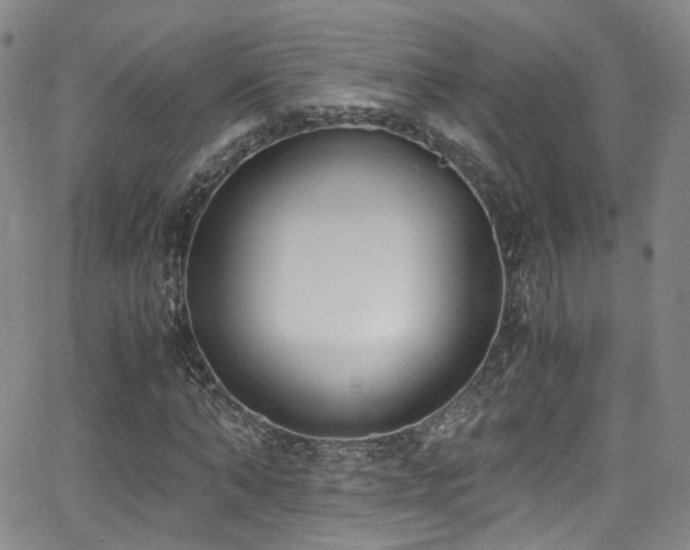 X0000062930870200601131509