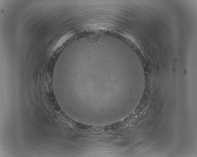 X0000062930871200601131509