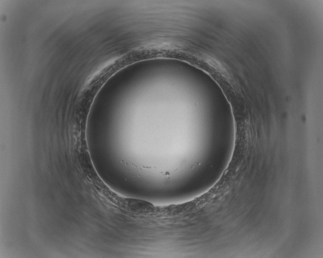 X0000062930872200601131509