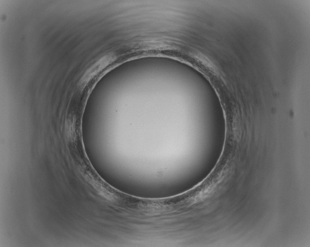 X0000062930873200601131509