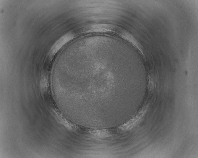 X0000062930874200601131509