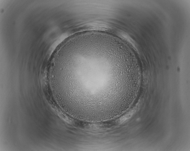 X0000062930875200601131509