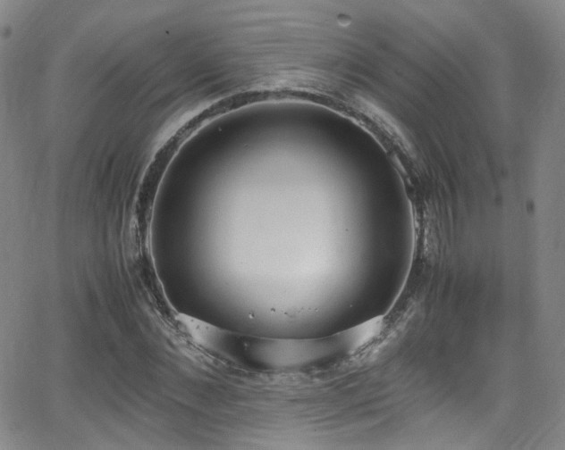 X0000062930876200601131508