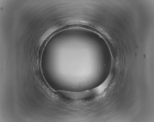 X0000062930877200601131508