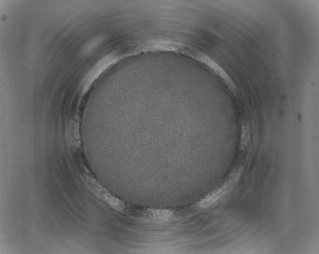 X0000062930878200601131508