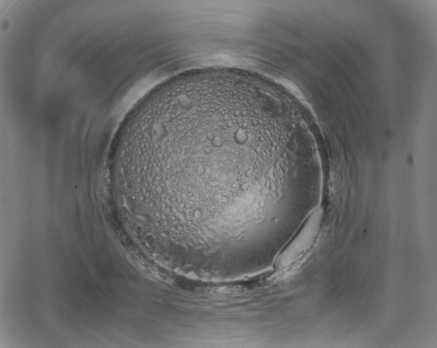 X0000062930879200601131508