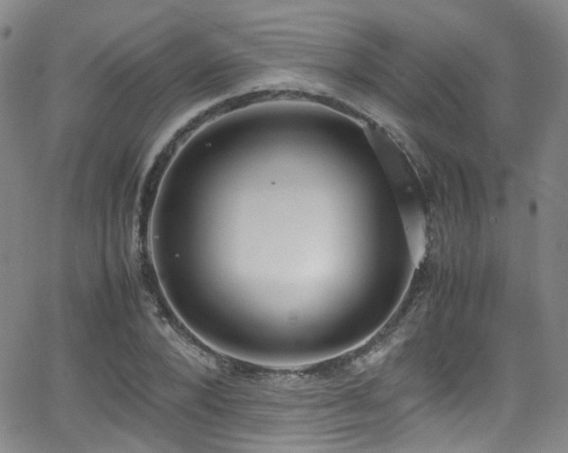 X0000062930880200601131508