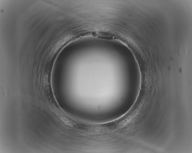 X0000062930881200601131508