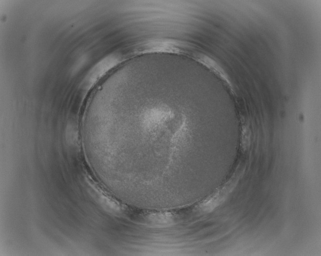 X0000062930882200601131508