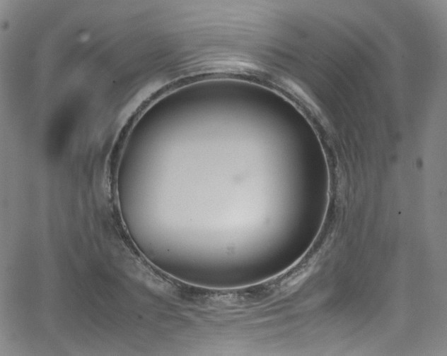 X0000062930883200601131508