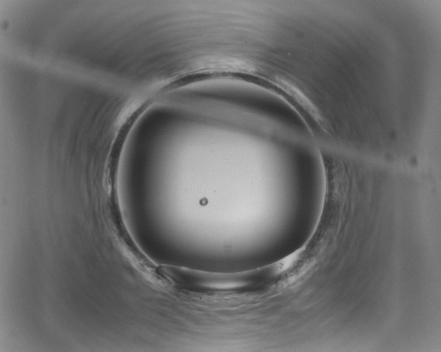 X0000062930885200601131508