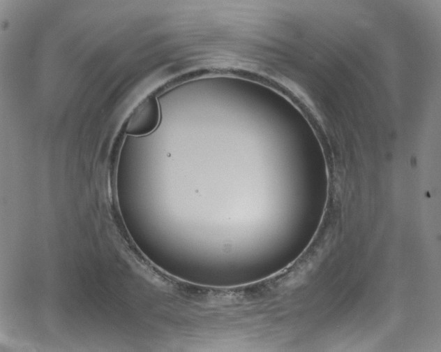 X0000062930887200601131508