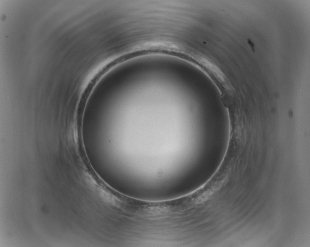 X0000062930888200601131508