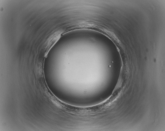 X0000062930889200601131508