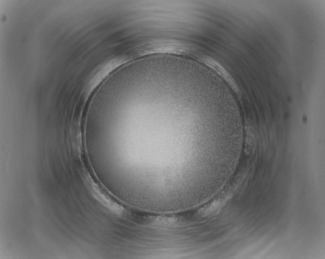 X0000062930890200601131508