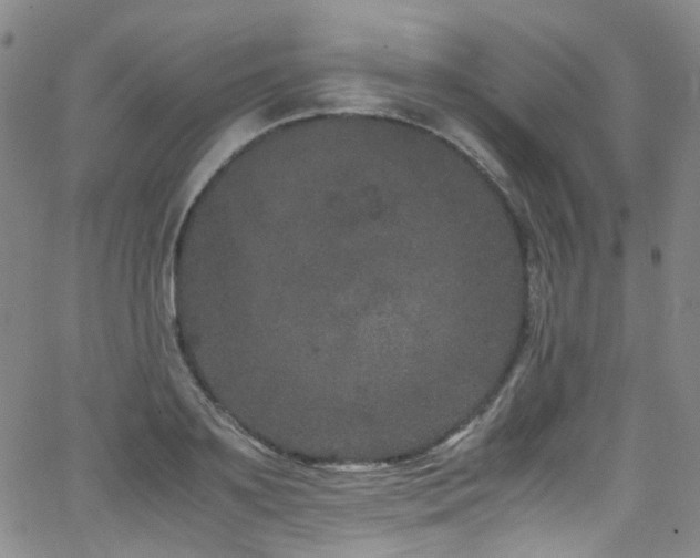 X0000062930891200601131508