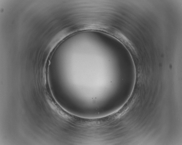 X0000062930892200601131508