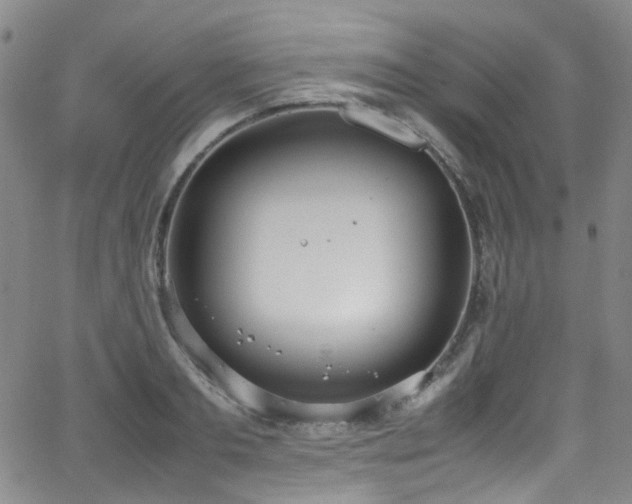 X0000062930893200601131508