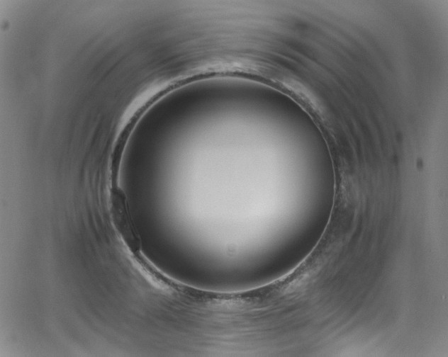 X0000062930894200601131508