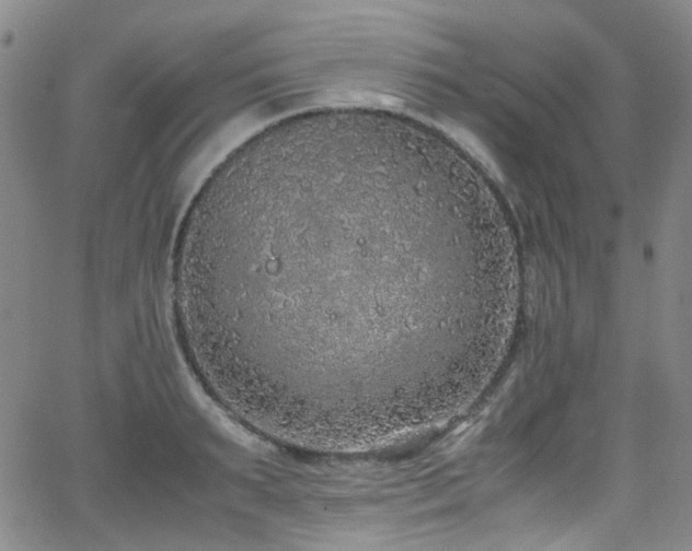 X0000062930895200601131508