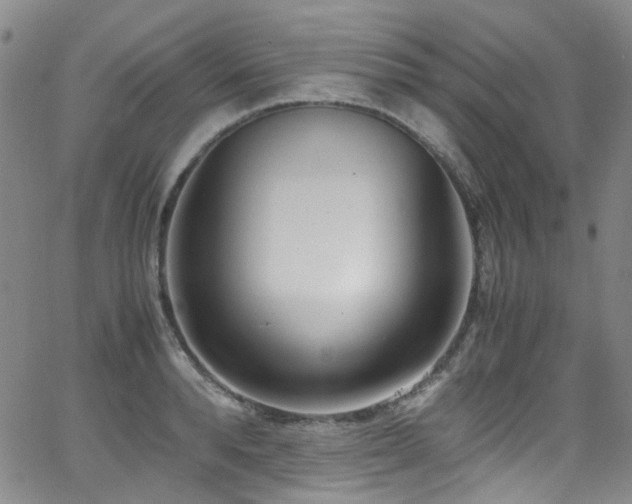 X0000062930896200601131508