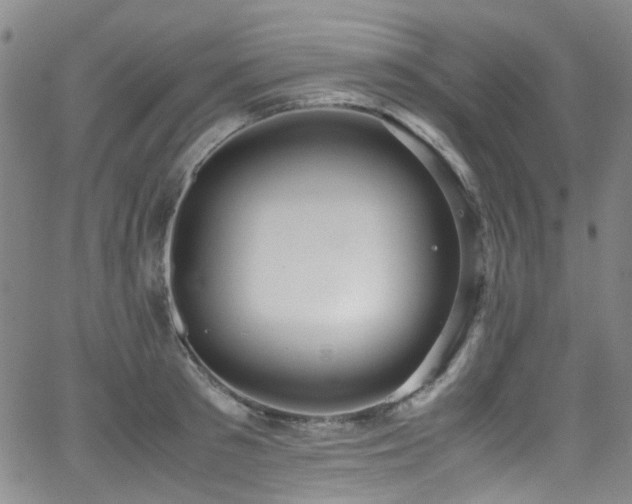 X0000062930897200601131508