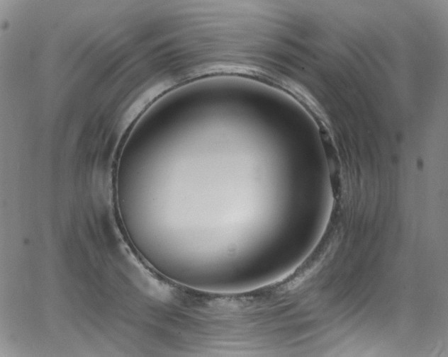 X0000062930898200601131508