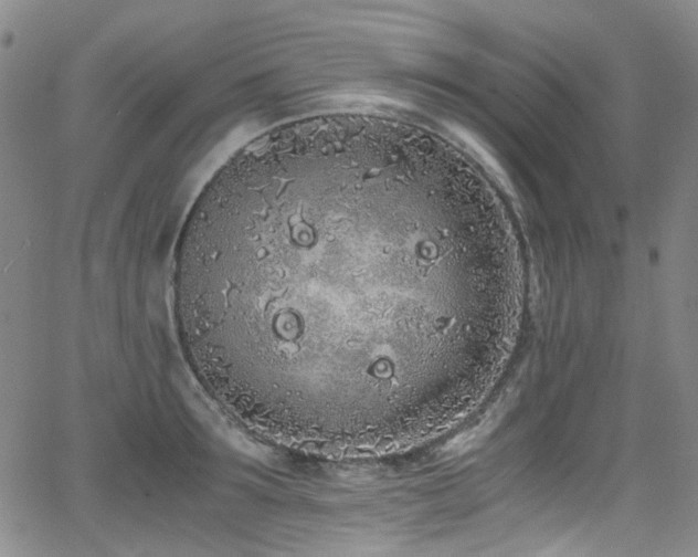 X0000062930899200601131508