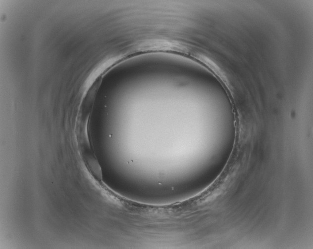 X0000062930901200601131508