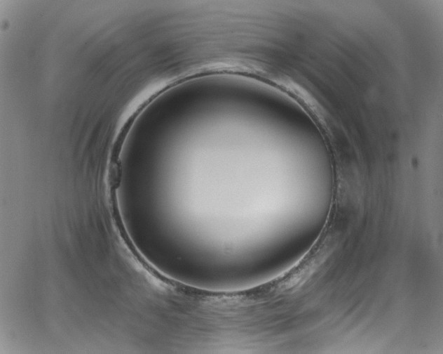 X0000062930902200601131508