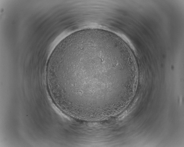 X0000062930903200601131508